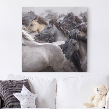 Impression sur toile - Wild Horses