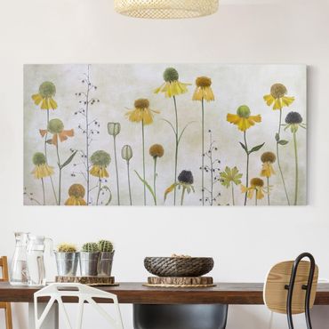 Impression sur toile - Delicate Helenium Flowers
