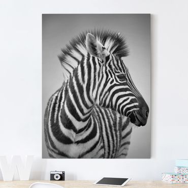 Impression sur toile - Zebra Baby Portrait II