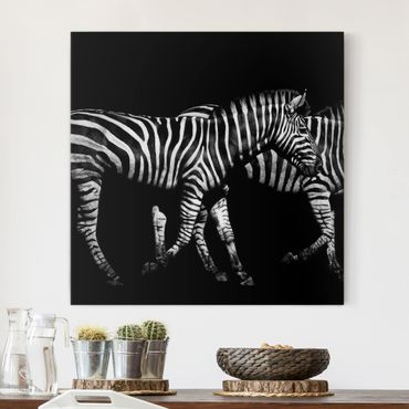 Impression sur toile - Zebra In The Dark