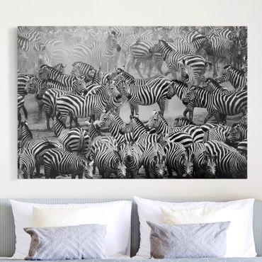 Impression sur toile - Zebra herd II