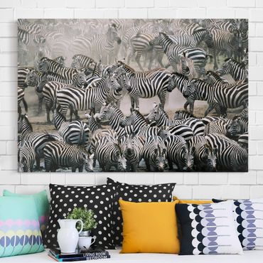 Impression sur toile - Zebra Herd