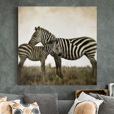 Impression sur toile - Zebra Couple
