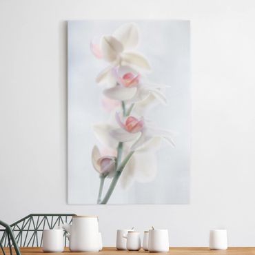 Impression sur toile - Delicate Orchid