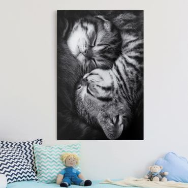 Impression sur toile - Two Kittens
