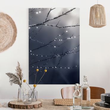 Tableau sur toile - Drops Of Light On A Branch Of A Birch Tree