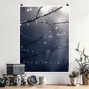 Poster - Drops Of Light On A Branch Of A Birch Tree