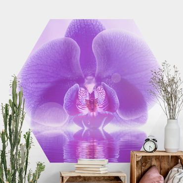 Papier peint hexagonal autocollant avec dessins - Purple Orchid On Water