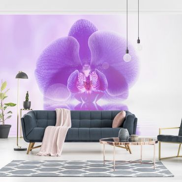 Papier peint - Purple Orchid On Water