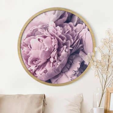Tableau rond encadré - Purple Peony Blossoms