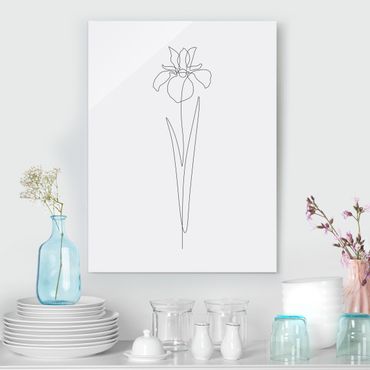 Tableau en verre - Line Art Flowers - Iris