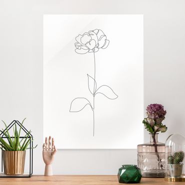 Tableau en verre - Line Art Flowers - Peony