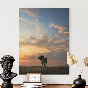 Tableau sur toile naturel - Lion At Sunset - Format portrait 3:4