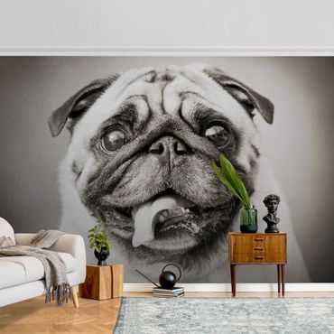 Metallic wallpaper - Funny Pug