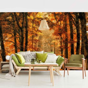 Papier peint - Enchanted Forest In Autumn
