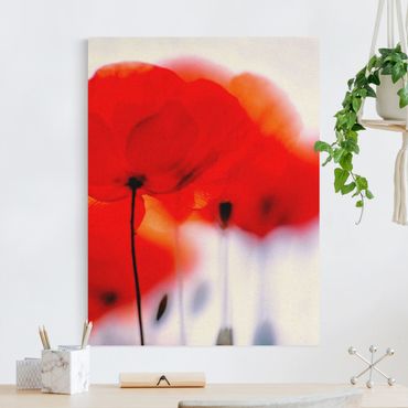 Tableau sur toile naturel - Magic Poppies - Format portrait 3:4