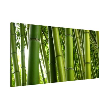 Tableau magnétique - Bamboo Trees