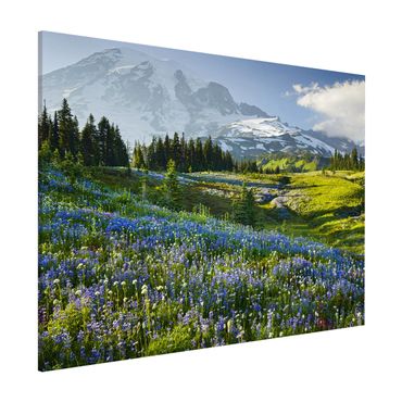 Tableau magnétique - Mountain Meadow With Blue Flowers in Front of Mt. Rainier