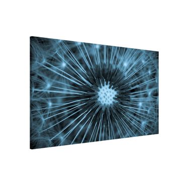 Tableau magnétique - Blue Tinted Dandelion