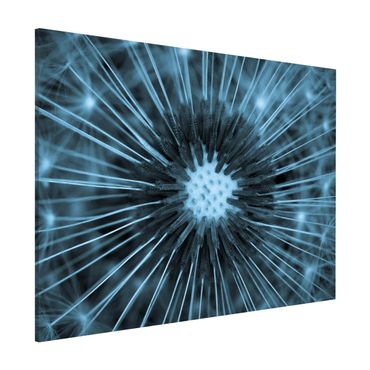 Tableau magnétique - Blue Tinted Dandelion
