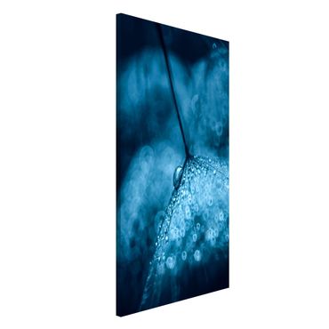 Tableau magnétique - Blue Dandelion In The Rain