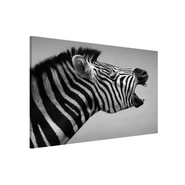 Tableau magnétique - Roaring Zebra ll