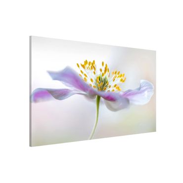 Tableau magnétique - Windflower In White