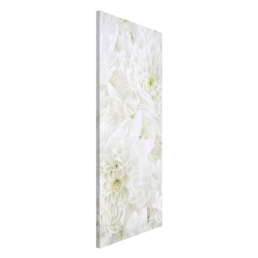 Tableau magnétique - Dahlias Sea Of Flowers White