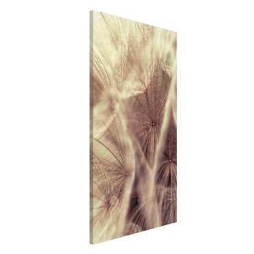 Tableau magnétique - Detailed Dandelion Macro Shot With Vintage Blur Effect