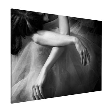 Tableau magnétique - The Hands Of A Ballerina