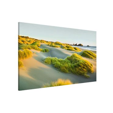 Tableau magnétique - Dunes And Grasses At The Sea