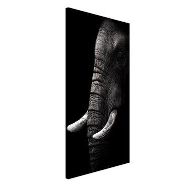 Tableau magnétique - Dark Elephant Portrait