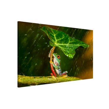 Tableau magnétique - Frog In The Rain
