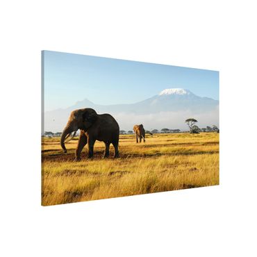 Tableau magnétique - Elephants In Front Of The Kilimanjaro In Kenya