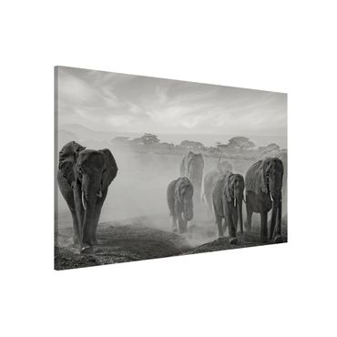 Tableau magnétique - Herd Of Elephants