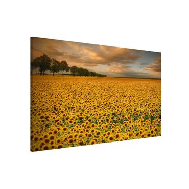 Tableau magnétique - Field With Sunflowers
