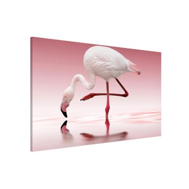 Tableau magnétique - Flamingo Dance