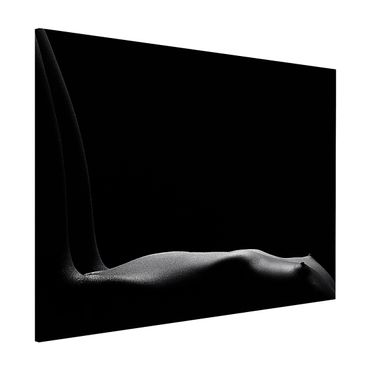 Tableau magnétique - Nude in the Dark