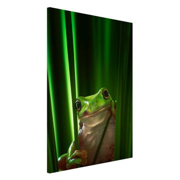 Tableau magnétique - Merry Frog