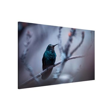 Tableau magnétique - Hummingbird In Winter