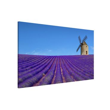 Tableau magnétique - Lavender Scent In The Provence