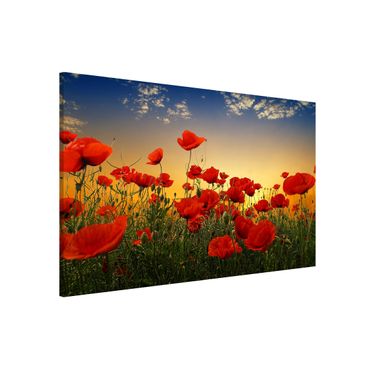 Tableau magnétique - Poppy Field In Sunset