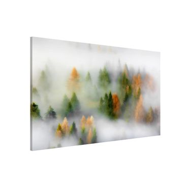 Tableau magnétique - Cloud Forest In Autumn