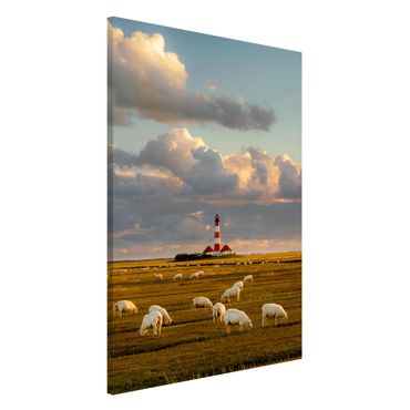 Tableau magnétique - North Sea Lighthouse With Flock Of Sheep