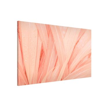 Tableau magnétique - Palm Leaves Light Pink