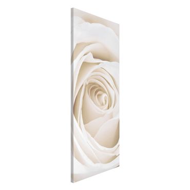 Tableau magnétique - Pretty White Rose