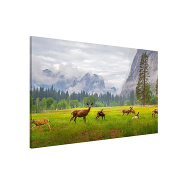 Tableau magnétique - Deer In The Mountains