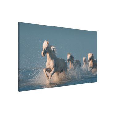 Tableau magnétique - Herd Of White Horses