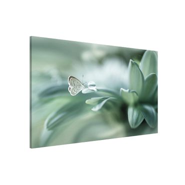 Tableau magnétique - Butterfly And Dew Drops In Pastel Green