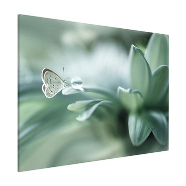Tableau magnétique - Butterfly And Dew Drops In Pastel Green